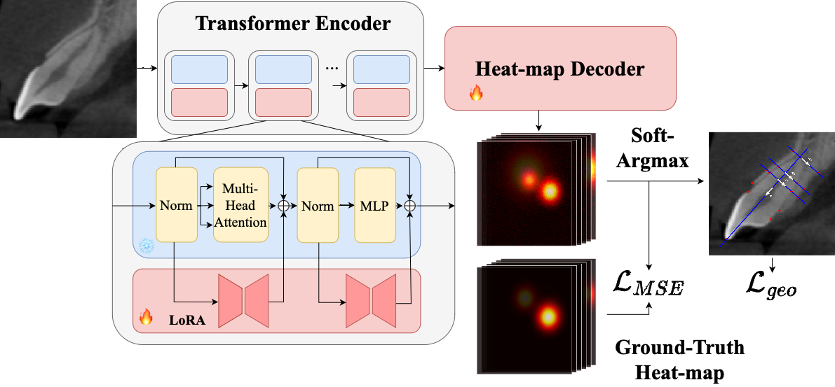 GeoSapiens landmark detection architecture